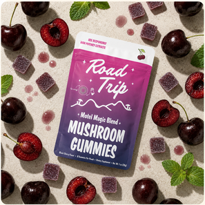 Motel Magic Mushroom Gummies - Black Cherry